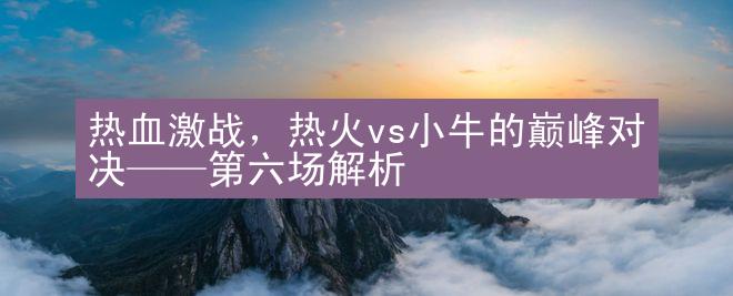 热血激战，热火vs小牛的巅峰对决——第六场解析